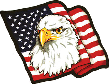 Eagle Head with Flag Patch